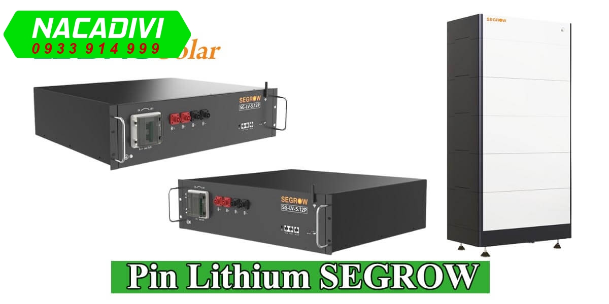 Pin Lithium SEGROW