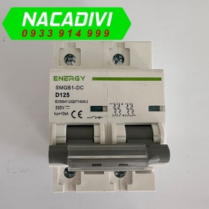 CB DC 125A cho Ắc Quy, Pin Lithium