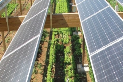 Lắp Đặt Hệ Thống Điện Năng Lượng Cho Gia Đình, Doanh Nghiệp Tại Tiền Giang