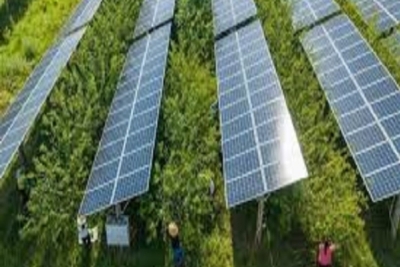 Thiết bị hòa lưới inverter Thiết bị hòa lưới inverter